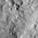 FC21A0012767_11301184843F1M.jpg