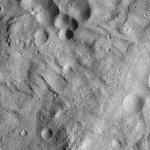 FC21A0012768_11301184850F2M.jpg