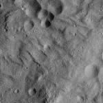 FC21A0012769_11301184857F3M.jpg