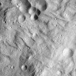 FC21A0012770_11301184905F4M.jpg