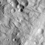 FC21A0012771_11301184911F5M.jpg