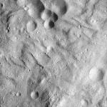 FC21A0012772_11301184919F6M.jpg