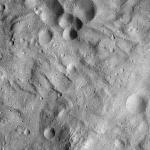 FC21A0012773_11301184926F7M.jpg