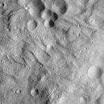 FC21A0012774_11301184935F8M.jpg