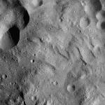 FC21A0012776_11301190101F7M.jpg