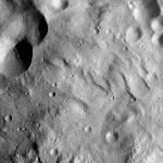 FC21A0012778_11301190115F5M.jpg