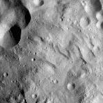 FC21A0012779_11301190121F4M.jpg