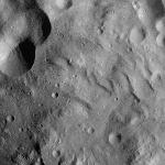 FC21A0012782_11301190142F1M.jpg
