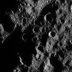 FC21A0013325_11303035237F2M.jpg