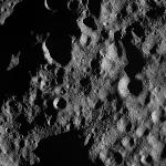 FC21A0013332_11303040024F6M.jpg