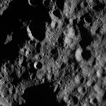 FC21A0013333_11303040031F7M.jpg