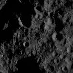FC21A0013334_11303040039F8M.jpg
