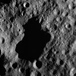 FC21A0013339_11303040828F4M.jpg