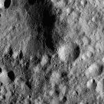 FC21A0013370_11303043817F5M.jpg