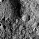 FC21A0013374_11303043845F1M.jpg
