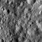 FC21A0013377_11303044402F3M.jpg