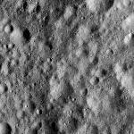 FC21A0013378_11303044408F4M.jpg