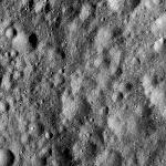 FC21A0013380_11303044422F6M.jpg