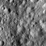 FC21A0013382_11303044434F8M.jpg