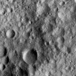 FC21A0013390_11303045036F1M.jpg