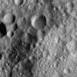 FC21A0013391_11303045550F1M.jpg