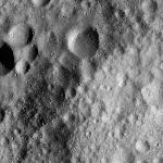 FC21A0013394_11303045610F4M.jpg