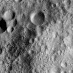 FC21A0013395_11303045617F5M.jpg
