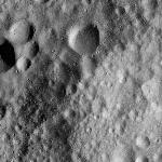 FC21A0013396_11303045623F6M.jpg