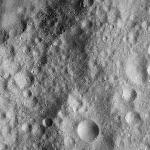 FC21A0013404_11303050226F6M.jpg