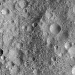 FC21A0013408_11303050800F7M.jpg