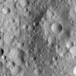 FC21A0013410_11303050812F5M.jpg