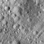 FC21A0013415_11303051350F1M.jpg