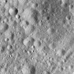 FC21A0013419_11303051415F5M.jpg