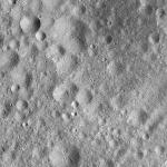 FC21A0013420_11303051421F6M.jpg