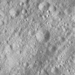 FC21A0013423_11303051947F8M.jpg