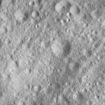 FC21A0013425_11303052002F6M.jpg