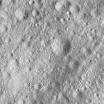 FC21A0013426_11303052009F5M.jpg