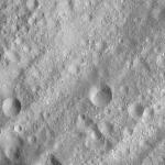 FC21A0013438_11303052644F8M.jpg