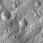 FC21A0013445_11303053245F2M.jpg