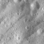 FC21A0013448_11303053756F2M.jpg