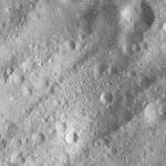 FC21A0013452_11303053829F6M.jpg
