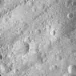 FC21A0013455_11303054356F8M.jpg