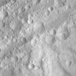 FC21A0013473_11303055608F6M.jpg