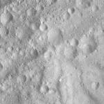 FC21A0013475_11303055623F4M.jpg