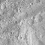 FC21A0013477_11303055636F2M.jpg