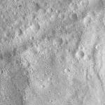 FC21A0013480_11303060157F2M.jpg