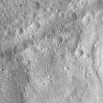 FC21A0013481_11303060205F3M.jpg