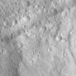 FC21A0013482_11303060212F4M.jpg