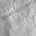 FC21A0013484_11303060227F6M.jpg