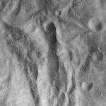 FC21A0013544_11303071357F2M.jpg